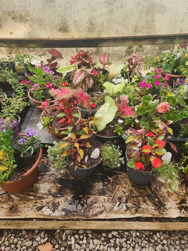 Trusted landscaping services in Shelbyville, TN - M & L Greenhouse