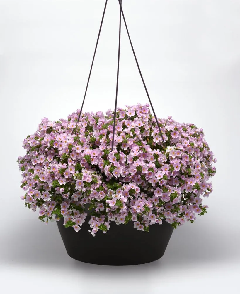 Custom garden landscaping in Shelbyville, TN - M & L Greenhouse