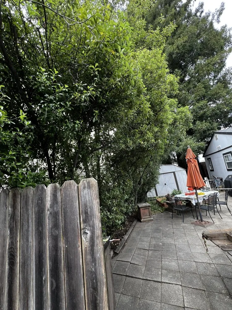 Expert garden landscaping in Petaluma, CA - M & L Landscape