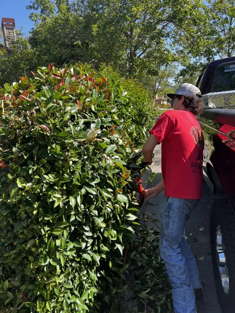 Custom lawn mowing service in Petaluma, CA - M & L Landscape
