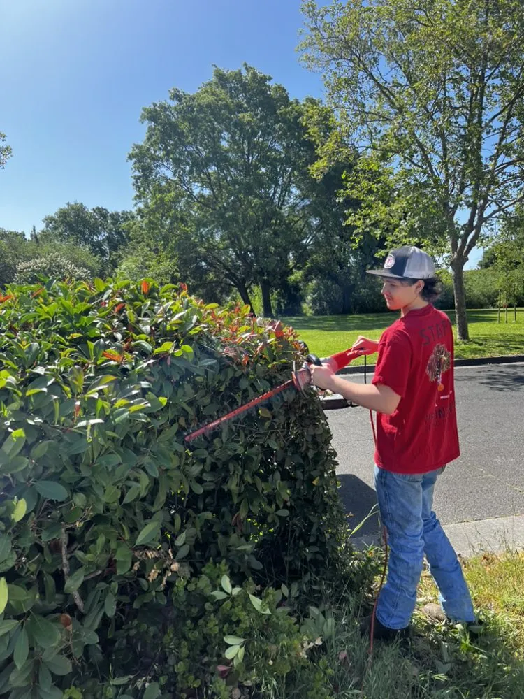 Expert landscape design for outdoor upgrades in Petaluma, CA by M & L Landscape