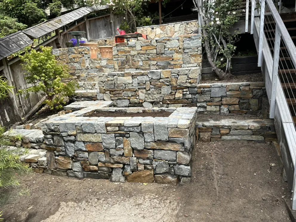 Custom yard cleanup service in San Rafael, CA by M & L Landscape