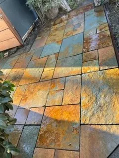 Local yard cleanup service in San Rafael, CA - M & L Landscape