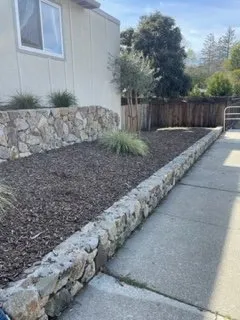 Local landscape design experts serving San Rafael, CA - M & L Landscape