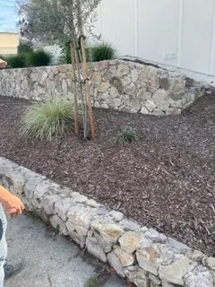 Custom outdoor landscaping for homes in San Rafael, CA by M & L Landscape