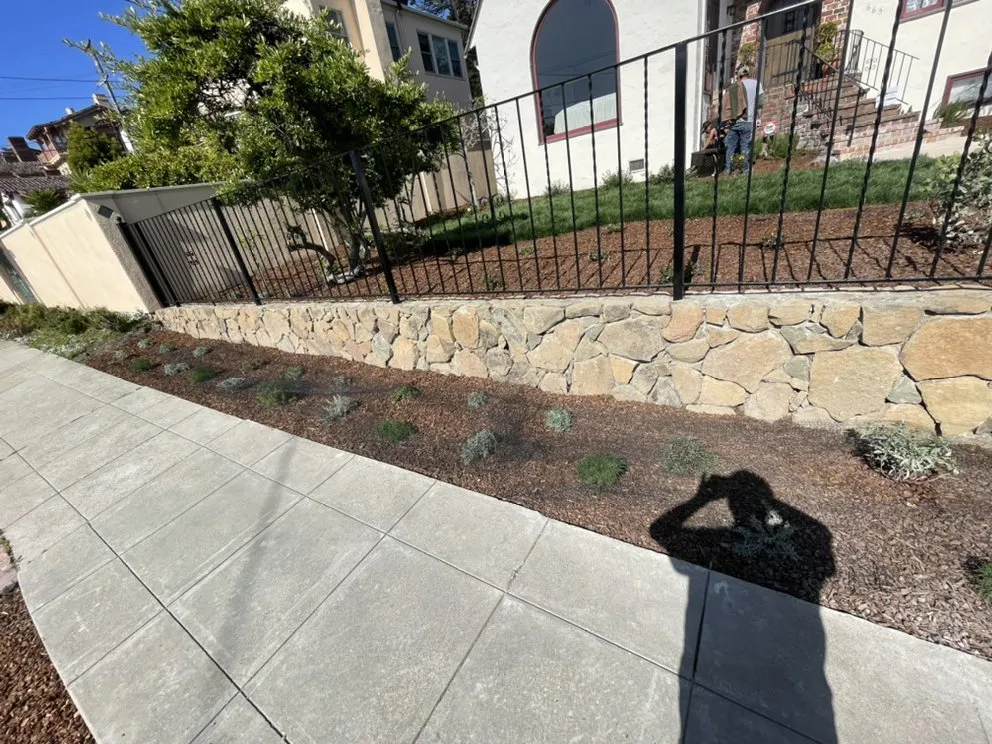 Professional garden landscaping in San Rafael, CA - M & L Landscape