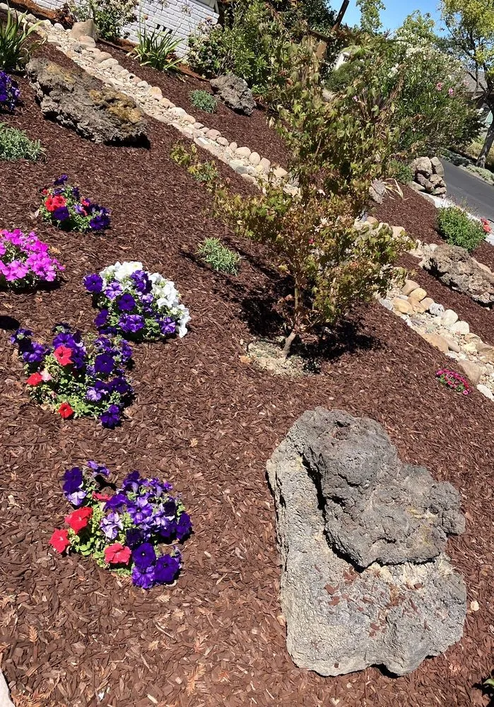Professional landscape design in San Rafael, CA by M & L Landscape