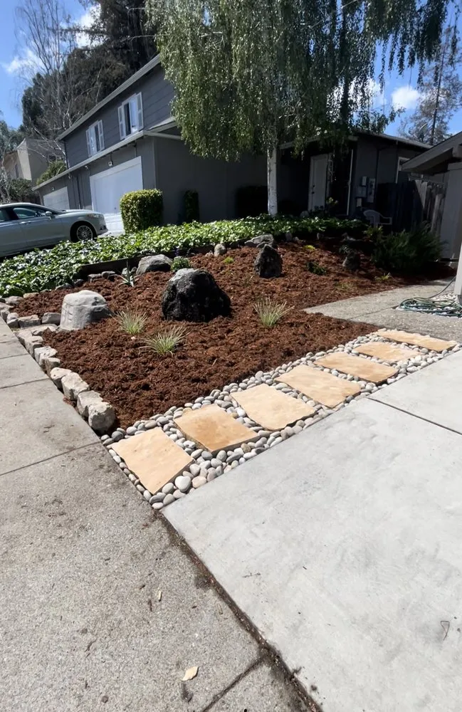 Trusted yard cleanup service in San Rafael, CA - M & L Landscape