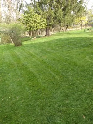 M & L Landscaping and More