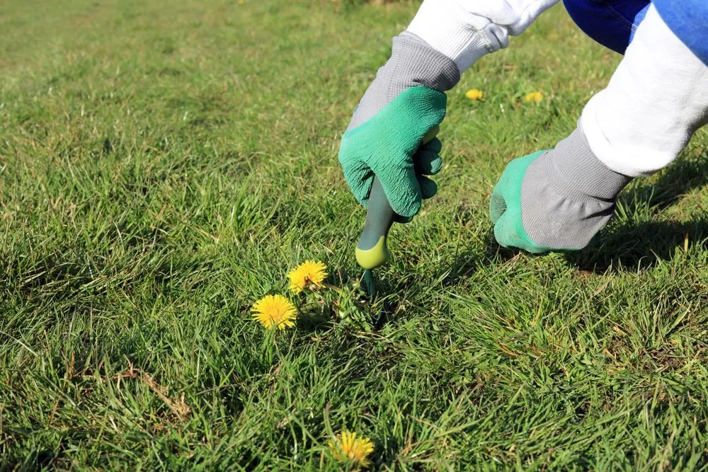 Professional landscape installation in Lafayette, IN - M & L Landscaping