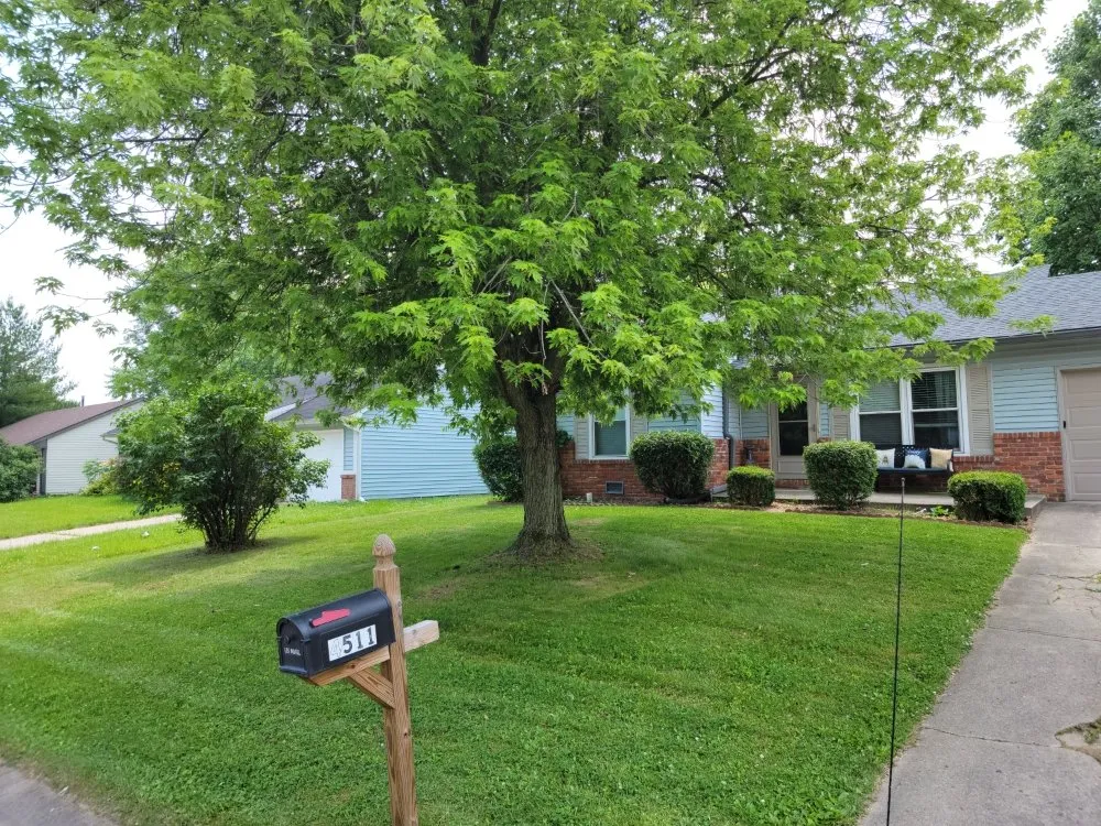 Professional yard cleanup service experts serving Camby, IN - M & L Lawncare