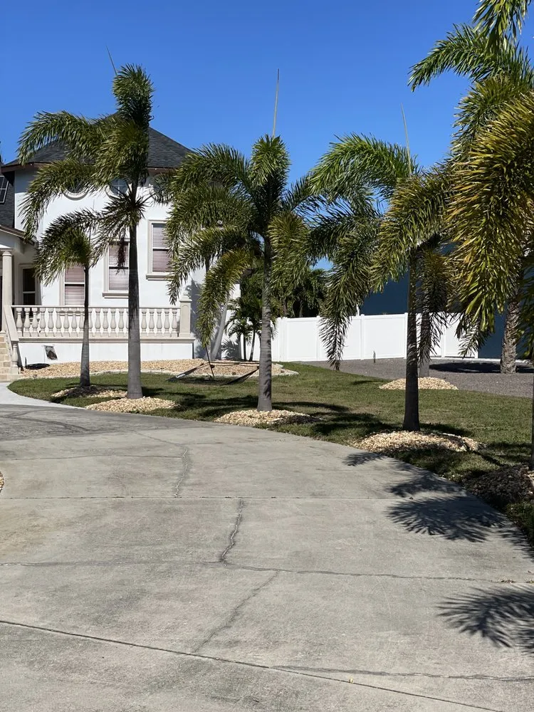 Local lawn care service in Spring Hill, FL by M & li Lawn care