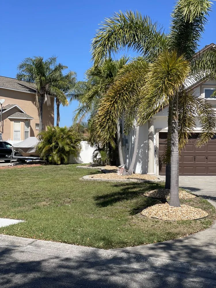 Trusted landscape design in Spring Hill, FL - M & li Lawn care