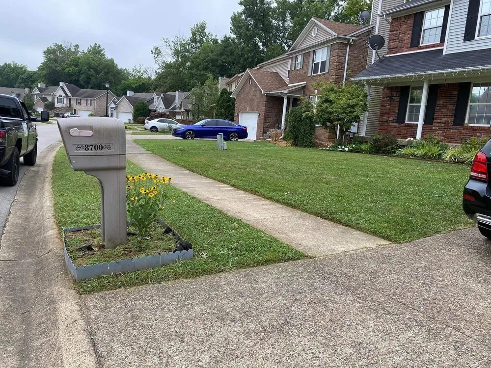 Top-rated yard cleanup service in Spring Hill, FL by M & li Lawn care