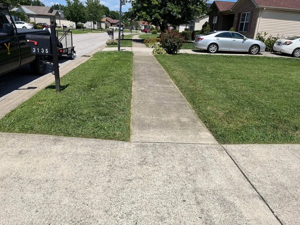 Reliable yard cleanup service for year-round maintenance in Spring Hill, FL by M & li Lawn care