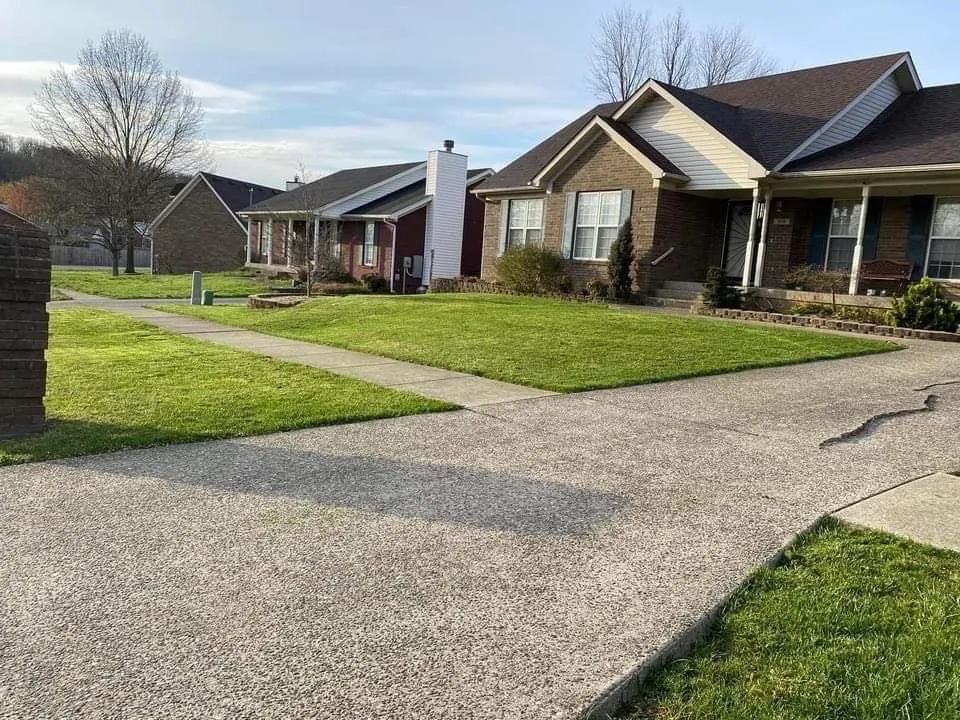 Professional residential landscaping experts serving Spring Hill, FL - M & li Lawn care