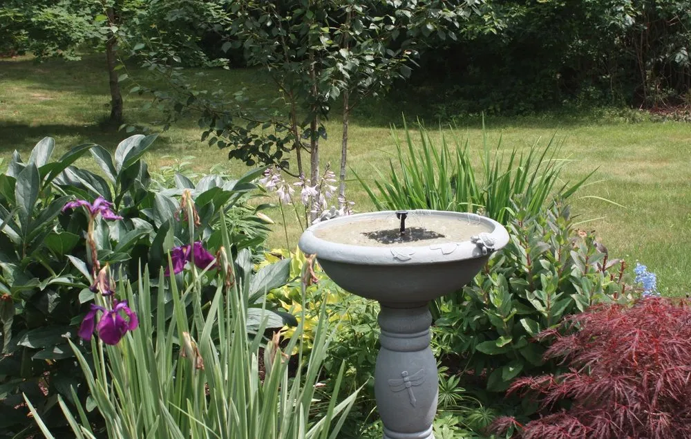 Expert lawn care service for residential properties across Madison, CT - M & M Garden Designs