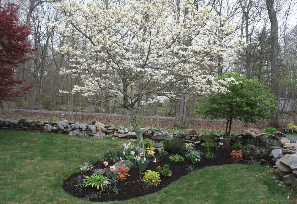 Reliable yard maintenance for homes across Madison, CT - M & M Garden Designs