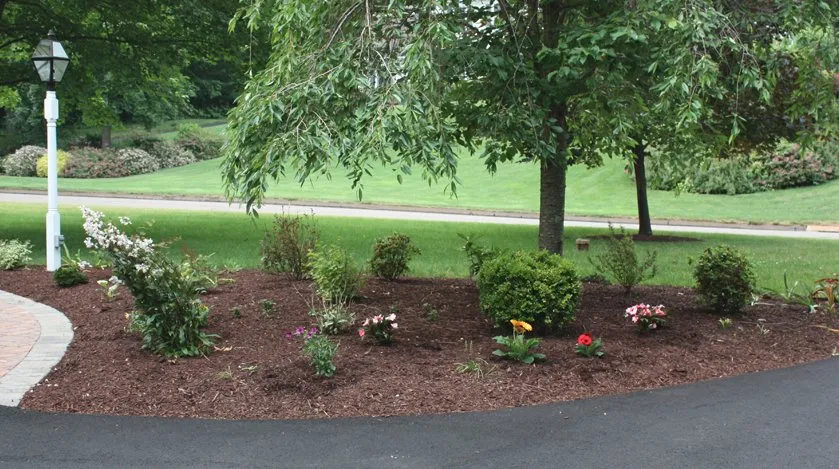 Custom lawn mowing service in Madison, CT - M & M Garden Designs