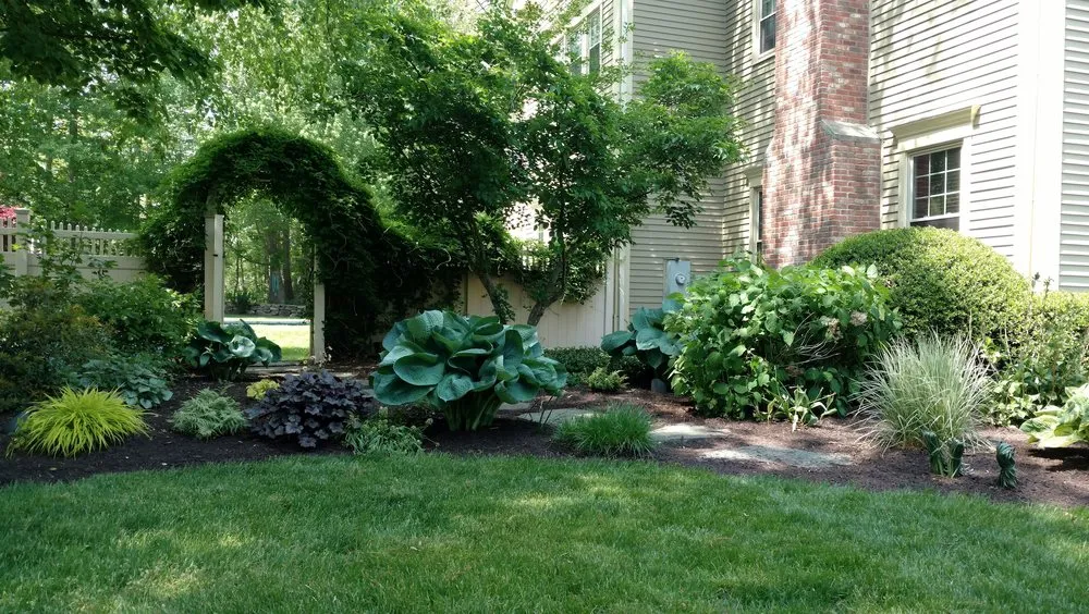 Professional lawn care service for homes in Madison, CT by M & M Garden Designs