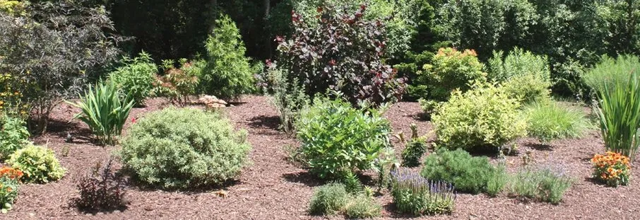 Custom lawn mowing service experts serving Madison, CT - M & M Garden Designs