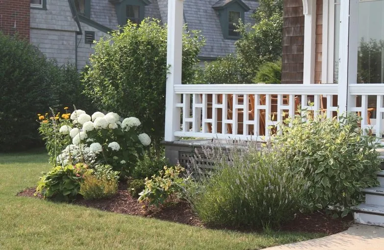 Local yard cleanup service in Madison, CT - M & M Garden Designs