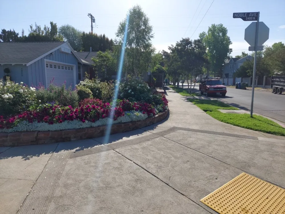 Affordable landscape design for year-round maintenance across Los Angeles, CA - M & M Gardening