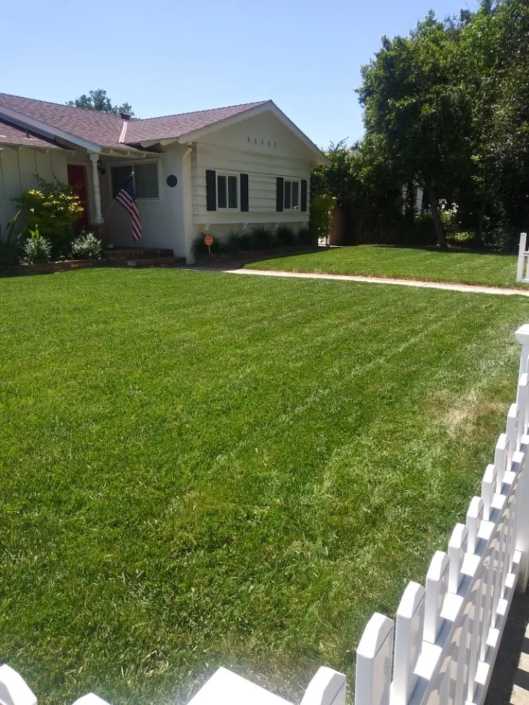 Trusted landscape design for outdoor upgrades in Los Angeles, CA by M & M Gardening