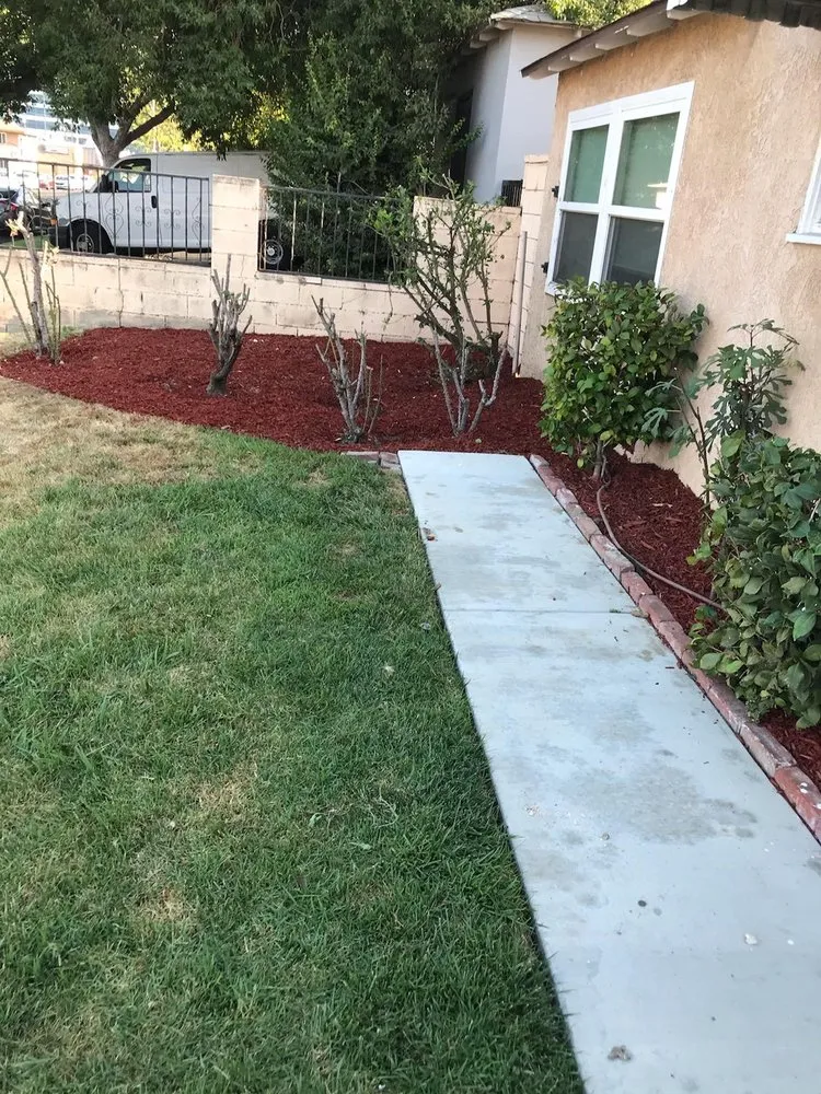 Professional landscaping services in Los Angeles, CA by M & M Gardening
