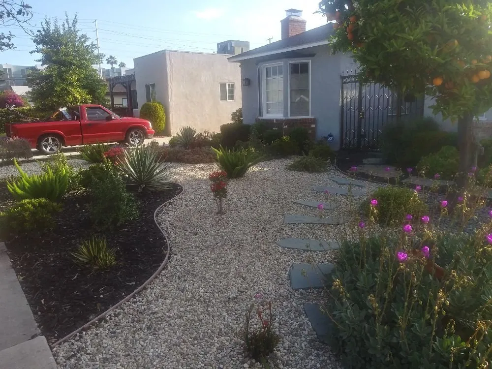 Trusted yard cleanup service for residential properties across Los Angeles, CA - M & M Gardening