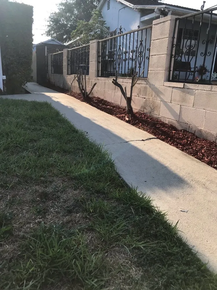 Trusted yard cleanup service with custom design in Los Angeles, CA by M & M Gardening