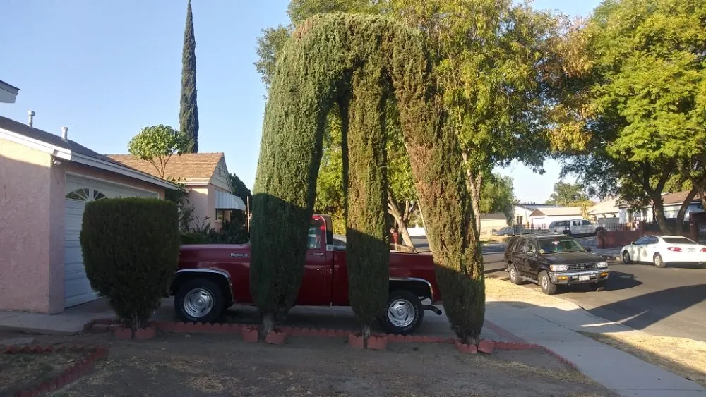 Top-rated residential landscaping for outdoor upgrades in Los Angeles, CA by M & M Gardening