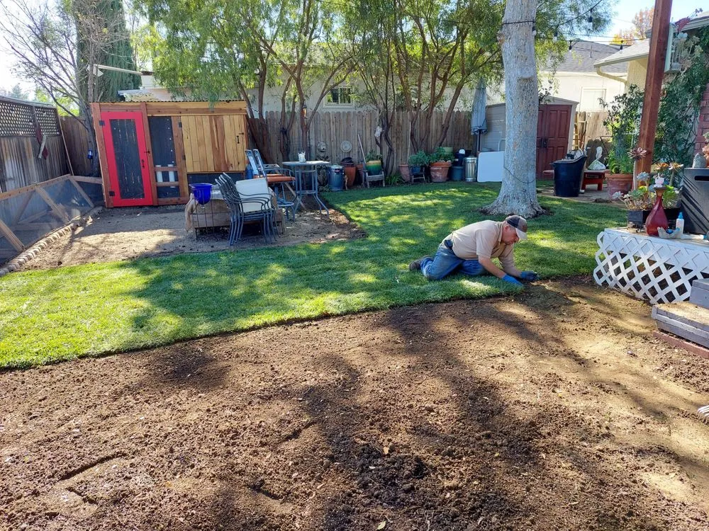 Custom landscape design in Los Angeles, CA by M & M Gardening