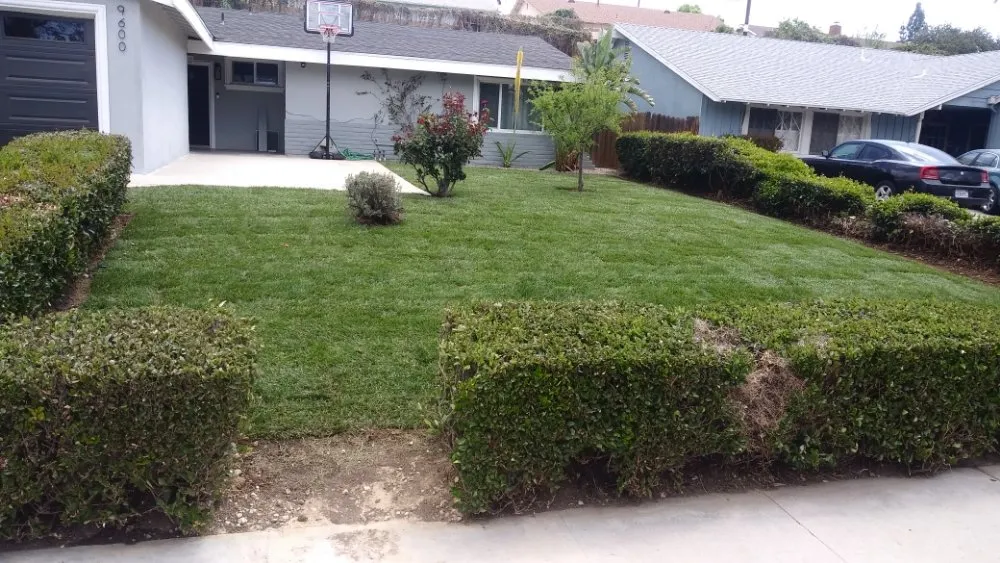Custom landscaping services in Los Angeles, CA by M & M Gardening