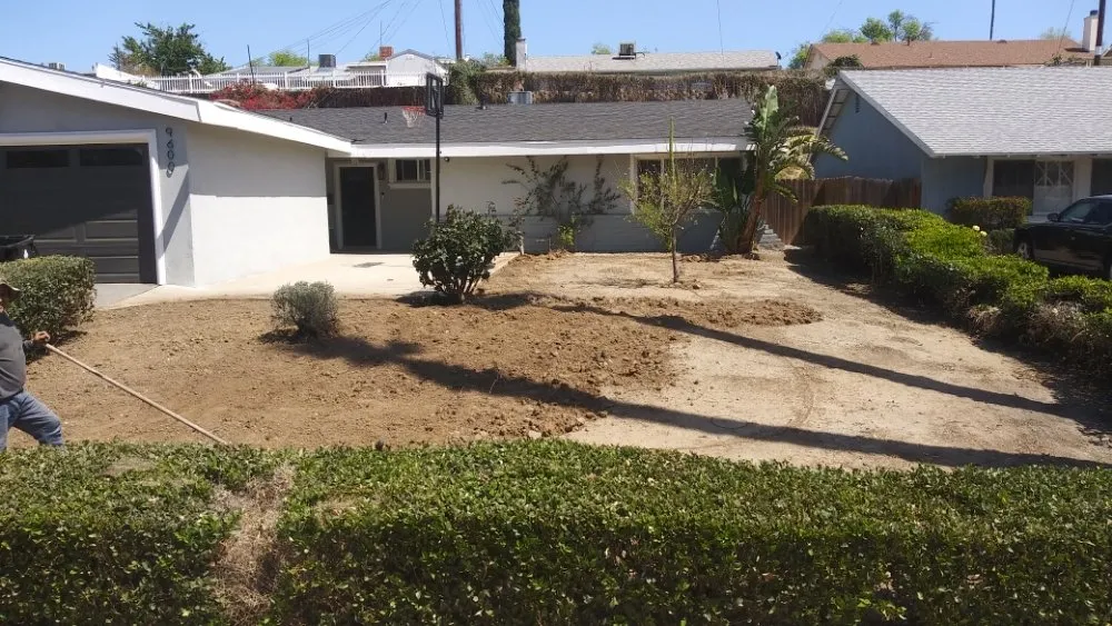 Custom yard maintenance in Los Angeles, CA by M & M Gardening
