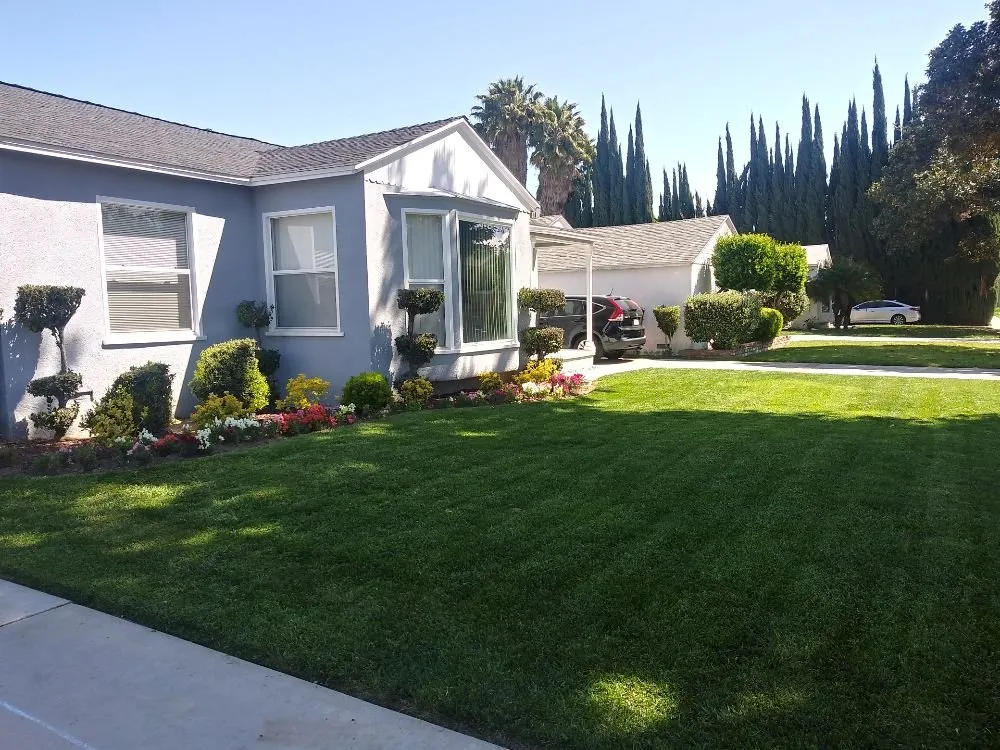 Affordable landscaping services for homes across Los Angeles, CA - M & M Gardening