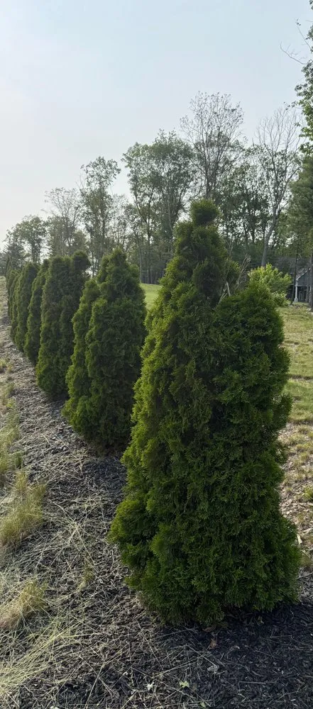 Reliable lawn care service in Kunkletown, PA - M & M Grounds And Greens