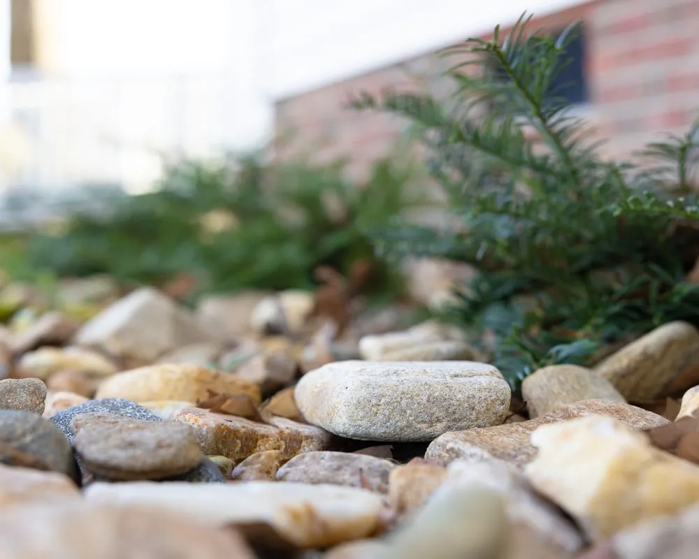 Local yard maintenance with custom design in Jacksonville, NC by M & M Landscape Management