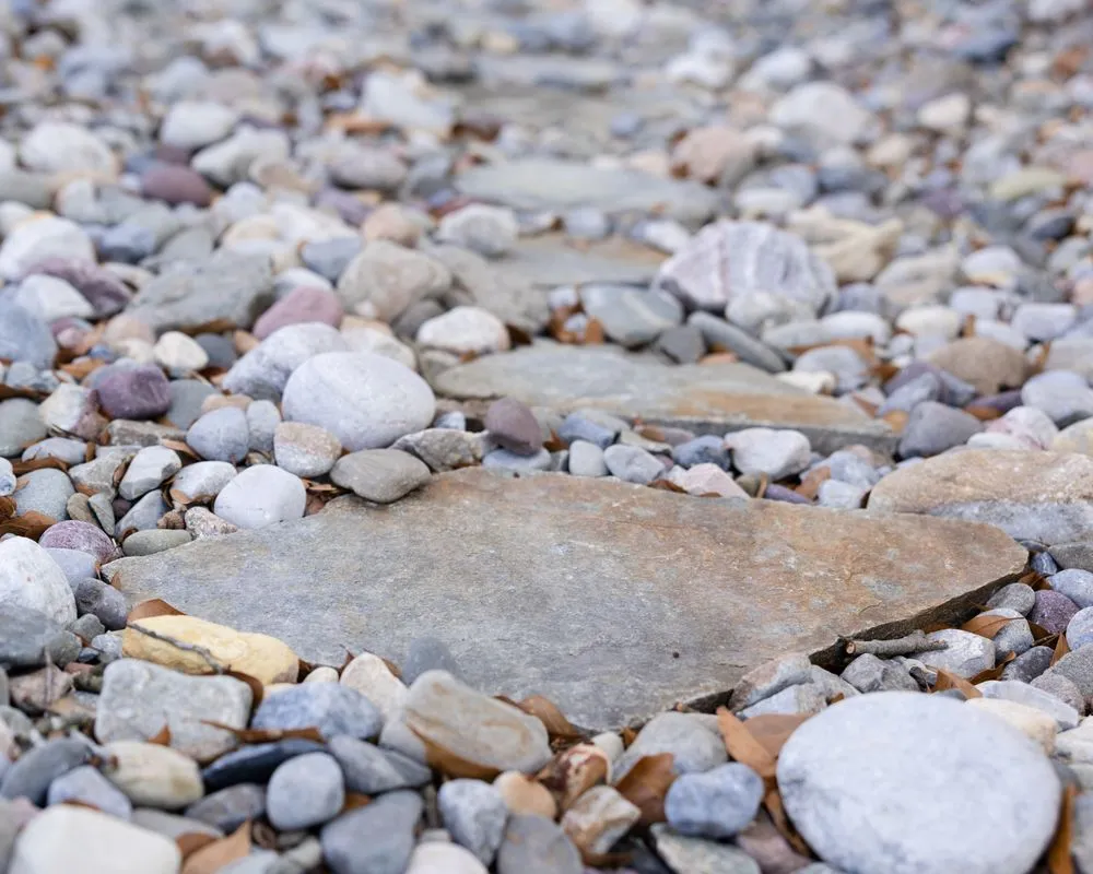 Top-rated landscape design experts serving Jacksonville, NC - M & M Landscape Management