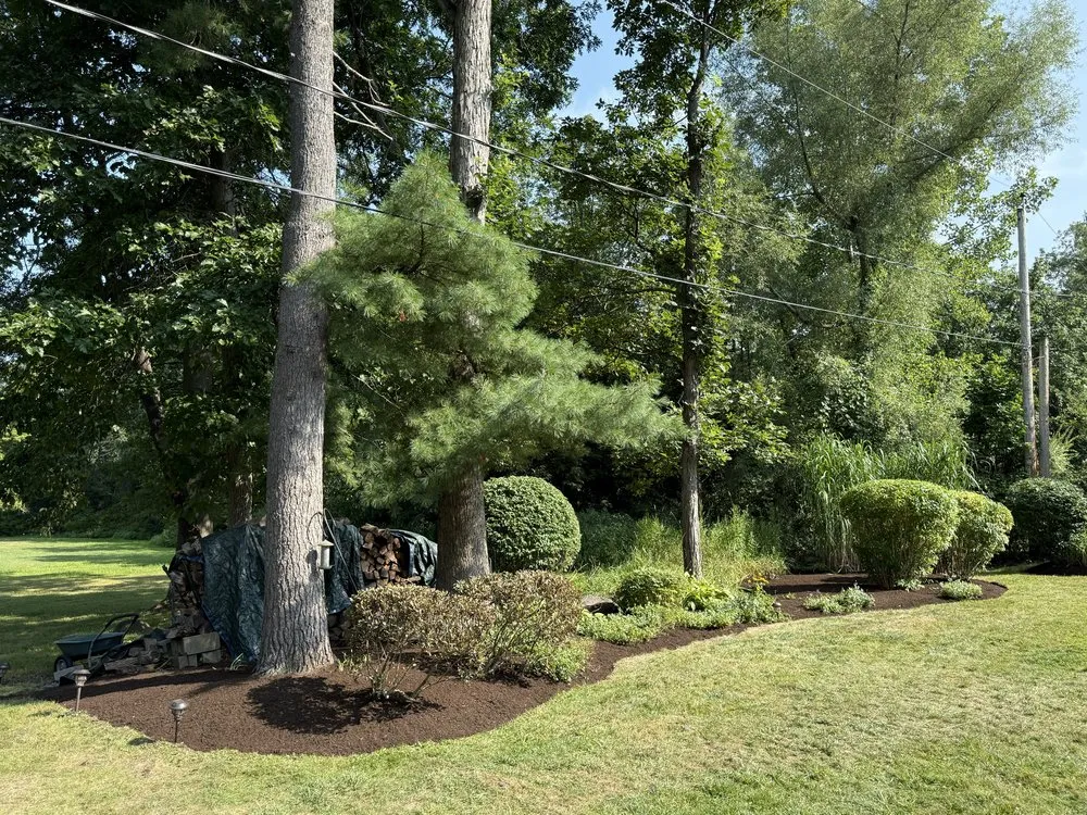 Top-rated landscape design experts serving Schenectady, NY - M & M Landscaping & Maintenance