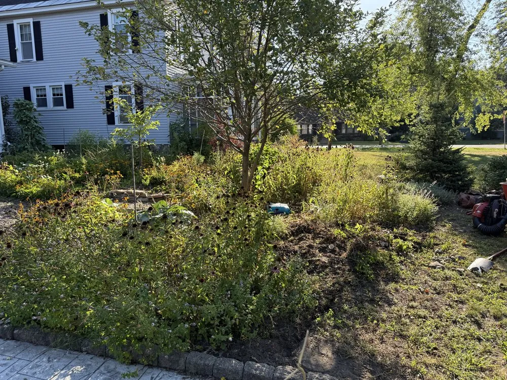 Reliable yard maintenance near you across Schenectady, NY - M & M Landscaping & Maintenance