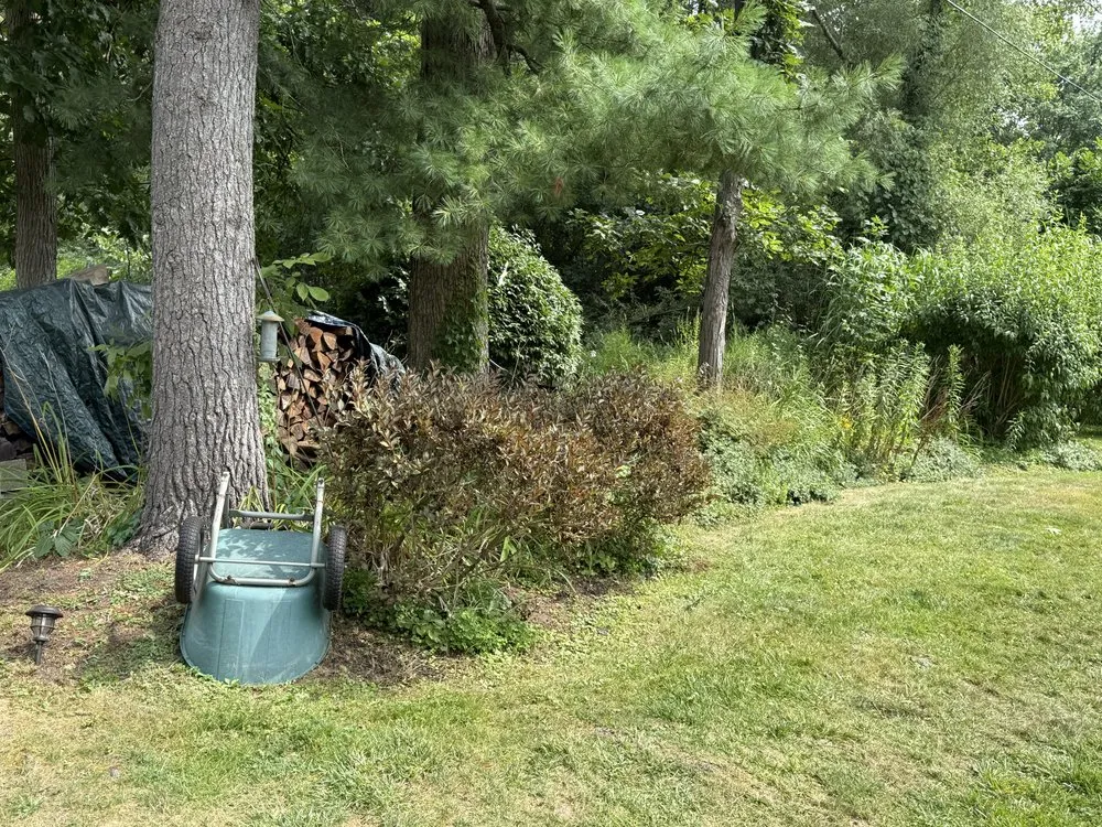 Reliable garden landscaping experts serving Schenectady, NY - M & M Landscaping & Maintenance