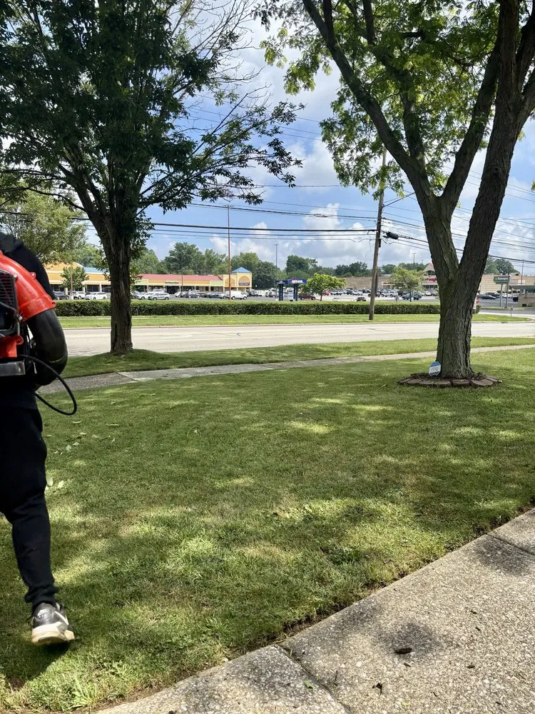 Trusted landscaping services in Brooklyn, OH - M & M Landscaping And Tree Trimming