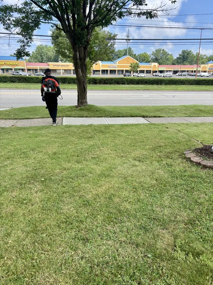 Custom yard maintenance for outdoor upgrades in Brooklyn, OH by M & M Landscaping And Tree Trimming