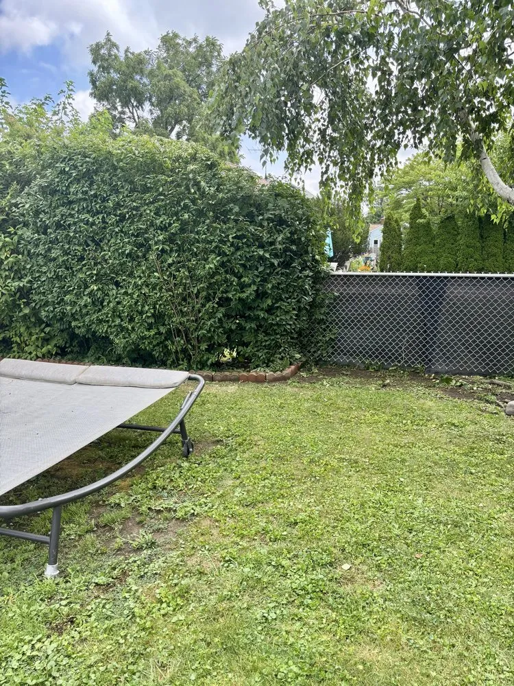 Top-rated lawn care service experts serving Brooklyn, OH - M & M Landscaping And Tree Trimming