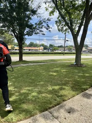 M & M Landscaping And Tree Trimming