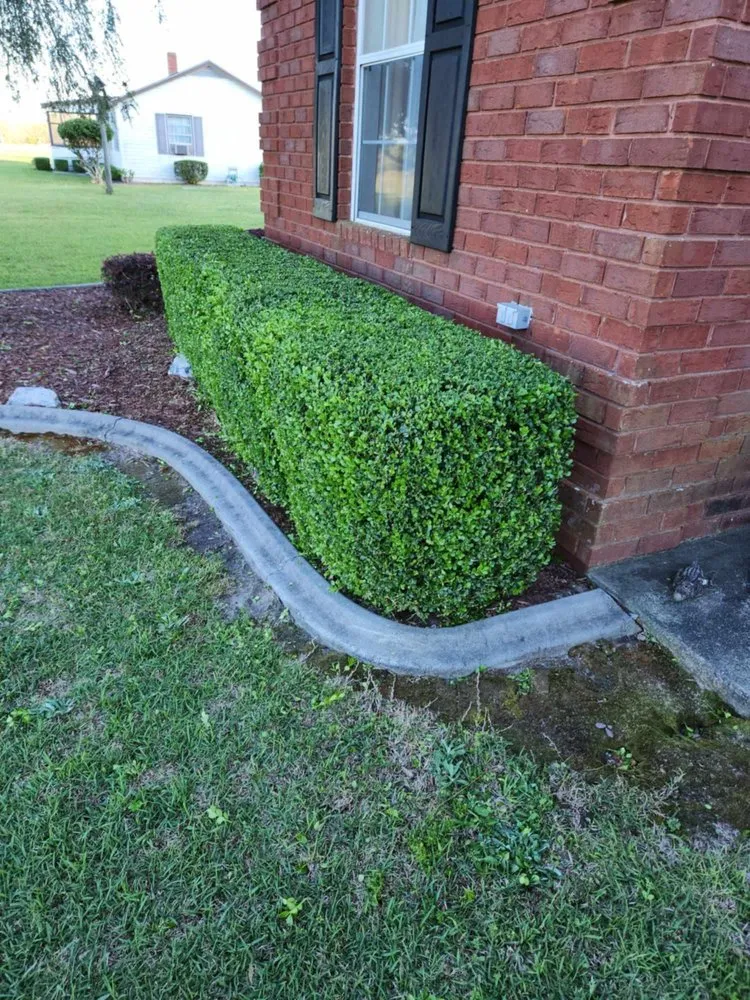 Custom landscaping services experts serving Lyons, GA - M & M Landscaping
