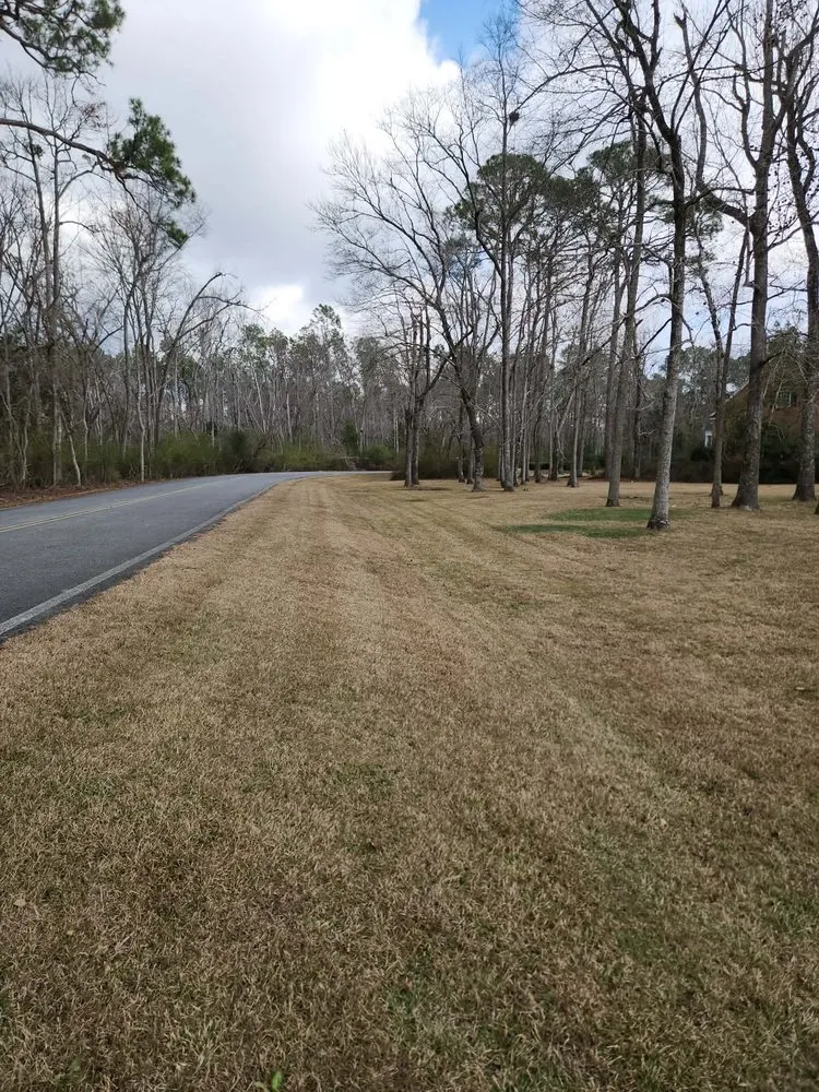 Affordable yard cleanup service near you in Lyons, GA by M & M Landscaping