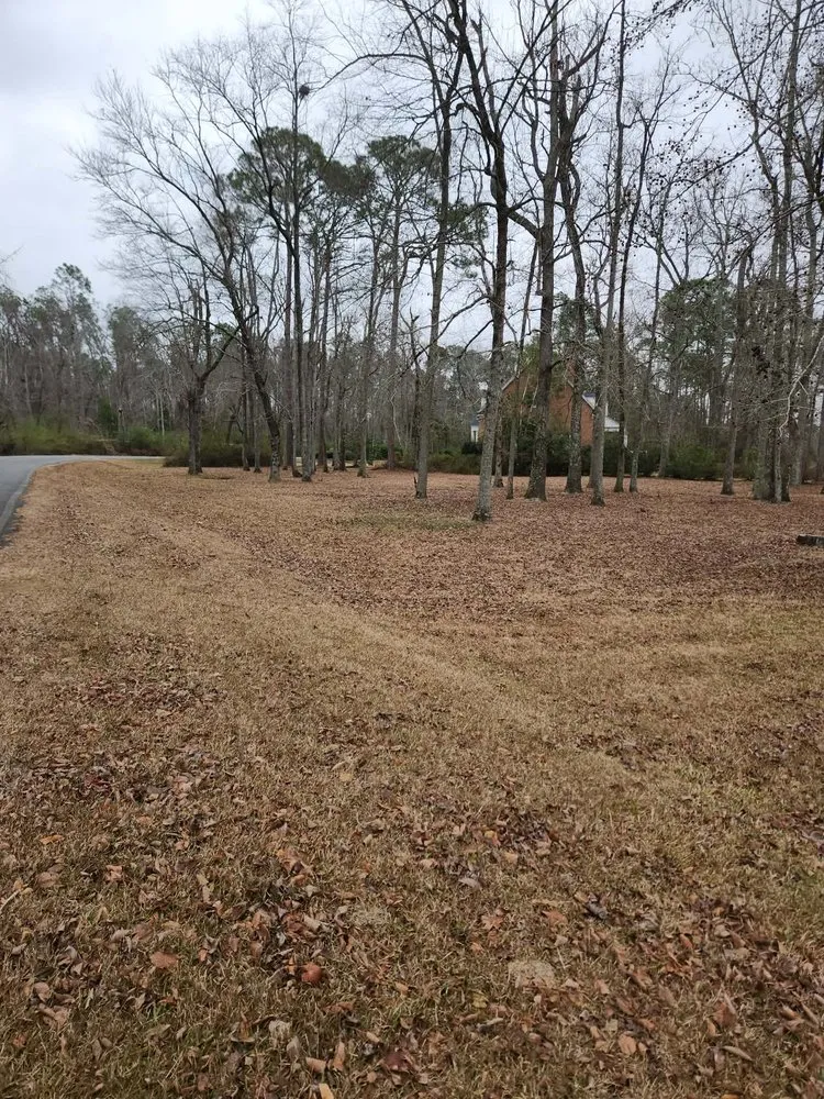 Affordable outdoor landscaping experts serving Lyons, GA - M & M Landscaping