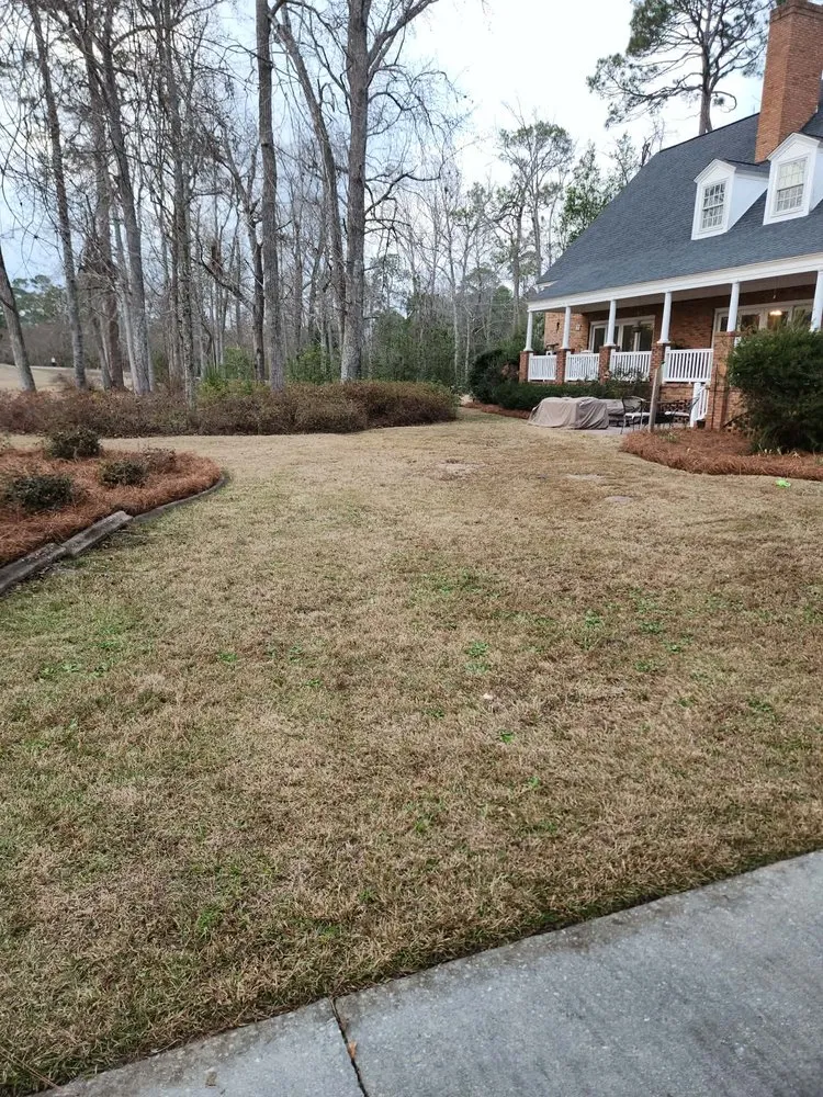 Professional lawn care service experts serving Lyons, GA - M & M Landscaping